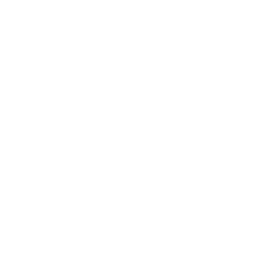 Nicolas Meier Logo